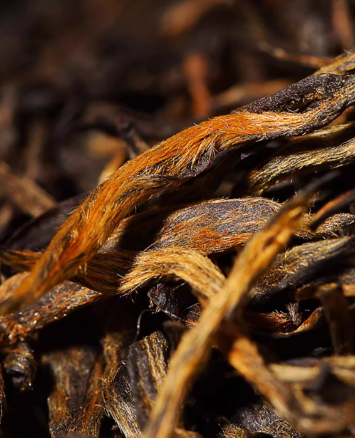Chinese Black Tea · Premium Jin Jun Mei - 2