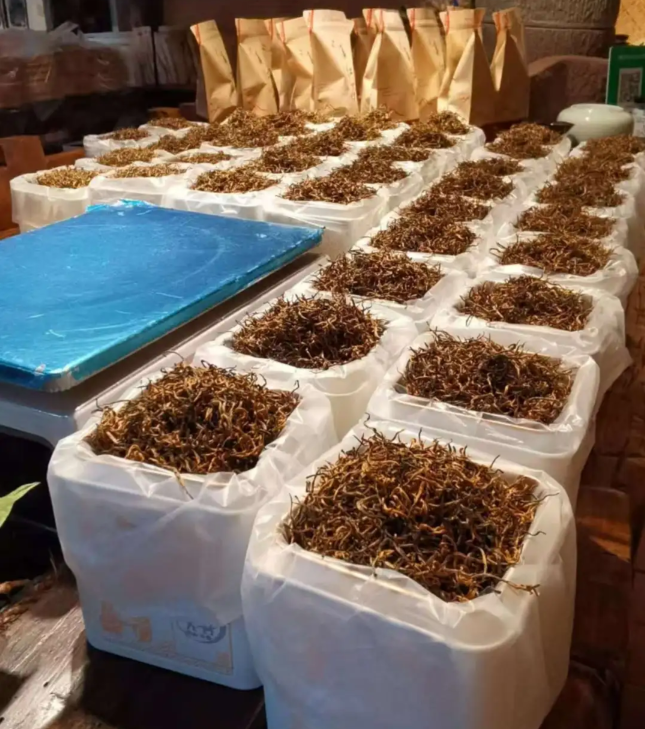 Yunnan Black Tea · Dianhong Golden Tips - 4