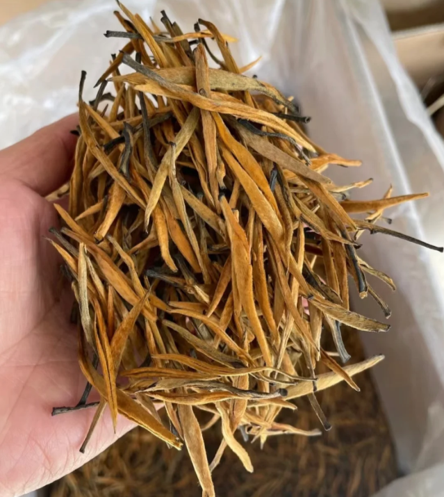 Yunnan Black Tea · Dianhong Golden Needle - 4