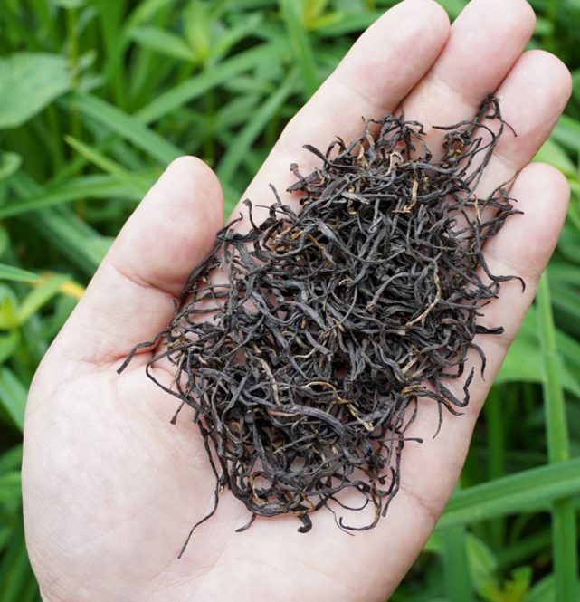 Chinese Keemun Black Tea · Grade One Red Fragrant Snail - 5